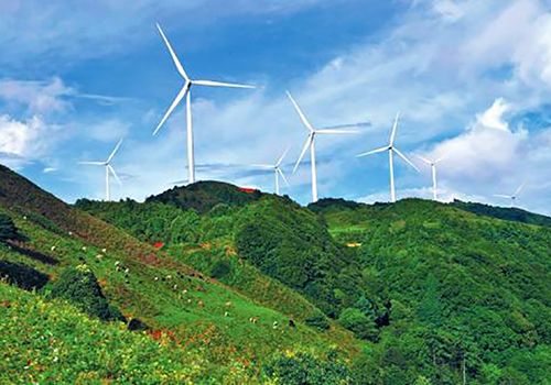 一個風(fēng)力發(fā)電機組整體造價要多少錢？